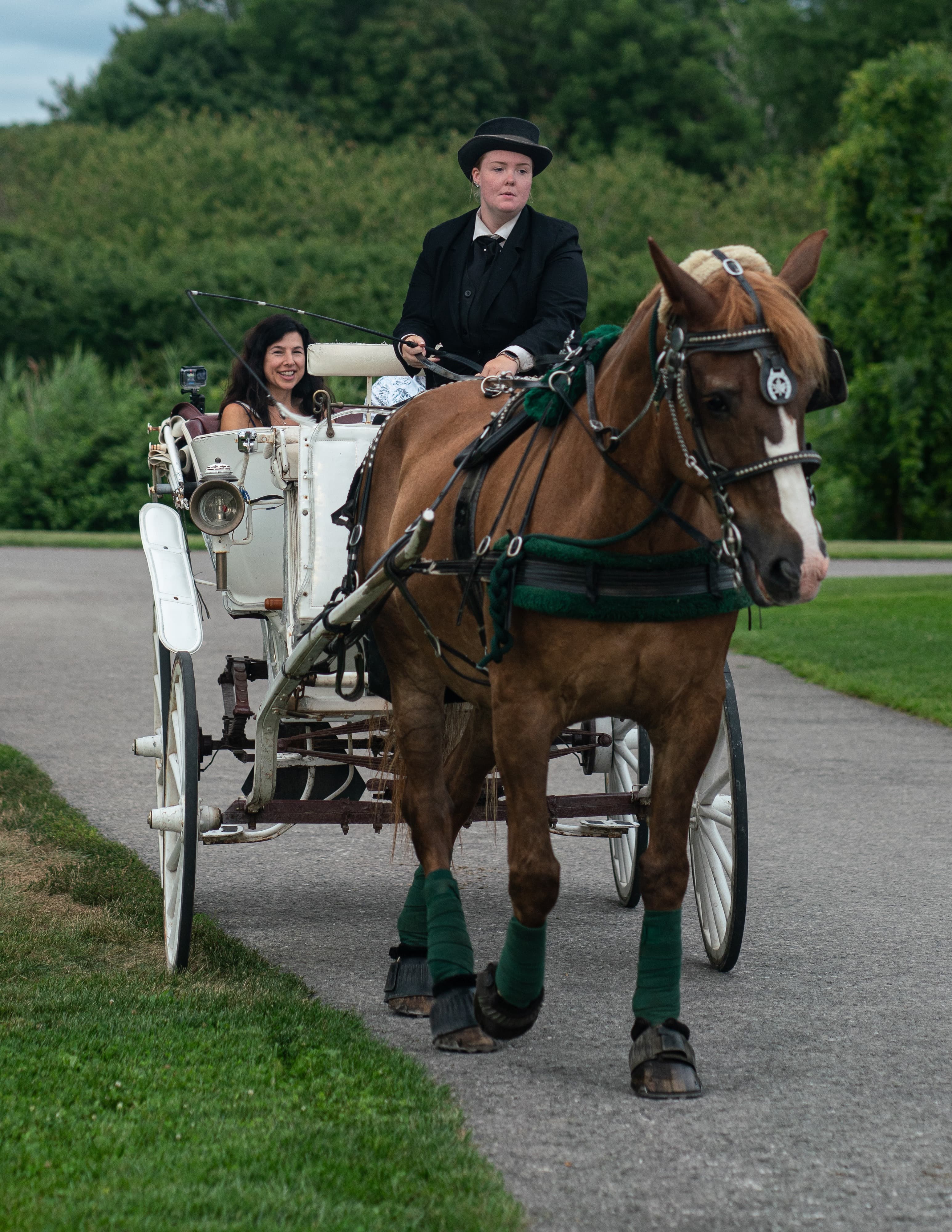 Horse-drawn white carriage carries a guest along a tree-lined estate driveway